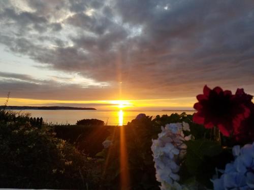 a sunset over the water with flowers in the foreground at Pors Melenn in Douarnenez