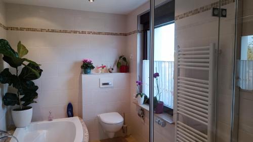 a bathroom with a toilet and a sink and a shower at Ferienhaus "Morgensonne" in Kurort Gohrisch