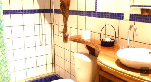 a bathroom with a sink and a toilet at Hotel 3 Bamboo Ecolodge in Cahuita