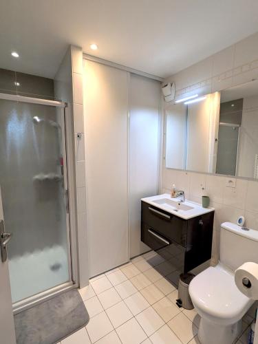 une salle de bain avec une douche, des toilettes et un lavabo dans l'établissement T3 Astoria Grand Lac hyper centre, à Aix-les-Bains