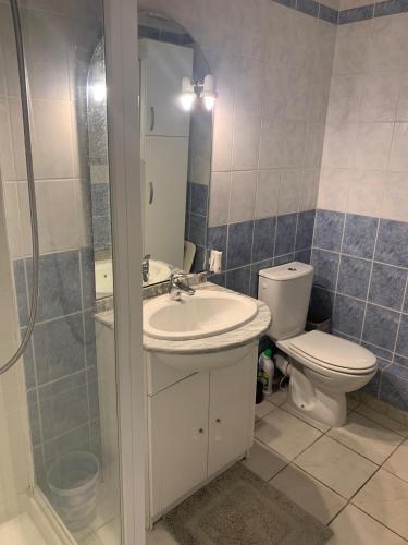 une salle de bain avec toilettes, lavabo et douche dans l'établissement French Riviera Villa, à Biot
