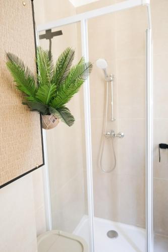 La salle de bains est pourvue d'une douche, de toilettes et d'une plante. dans l'établissement Casa Luna, à Nice
