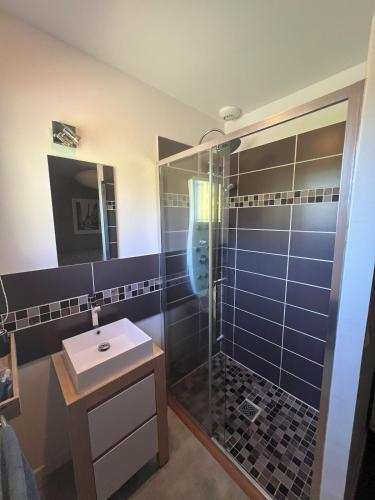 une salle de bain avec douche et lavabo dans l'établissement Punta di l'Ortu House, à Conca