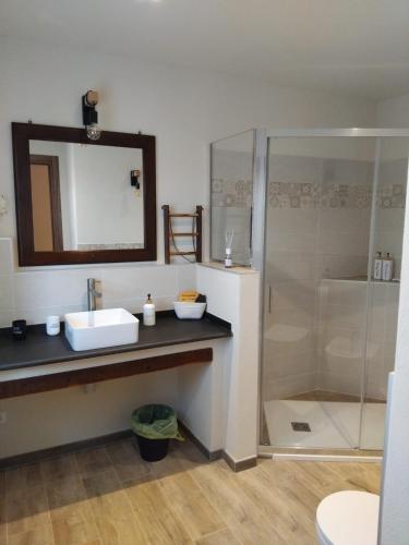 a bathroom with a sink and a shower at Bed & Breakfast 'Ngre in Moncrivello