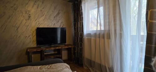 a living room with a tv and a window at Vila Curtea de Arges in Curtea de Argeş