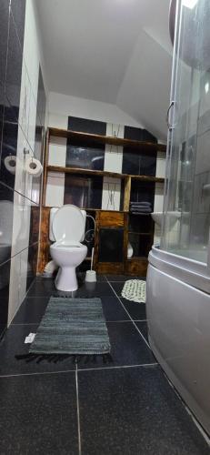 a bathroom with a toilet and a glass door at Vila Curtea de Arges in Curtea de Argeş