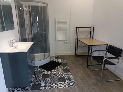 a bathroom with a shower and a sink and a chair at Chez Dani in Château-du-Loir