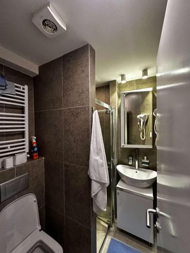 a bathroom with a toilet and a sink at Konaci 25 Kopaonik in Kopaonik