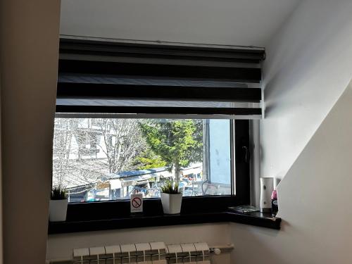 a window in a bathroom with potted plants on it at Konaci 25 Kopaonik in Kopaonik