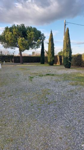 a group of trees in a parking lot at Oleandro Cottage with garden in La Cinquantina