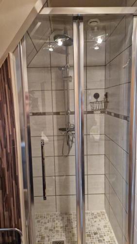 une douche avec une porte vitrée dans une salle de bain dans l'établissement La mare aux canards, à Sassetot-le-Mauconduit