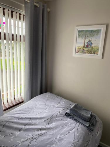a bedroom with a bed next to a window at Seacoast View in Limavady