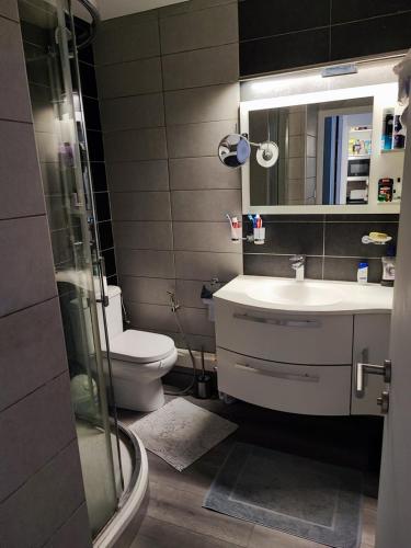 une salle de bain avec toilettes, lavabo et douche dans l'établissement Studio 31 m², à Nice