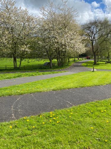 a path in a park with trees and grass at Seacoast View in Limavady