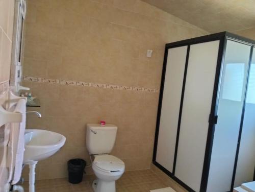 a bathroom with a toilet and a sink at Hotel Tres Flores in Huasca de Ocampo