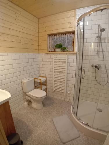 クドヴァ・ズドゥルイにあるDomek Luna Wilcza Zagrodaのトイレとシャワー付きのバスルーム