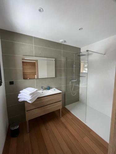 a bathroom with a sink and a shower at Gîte du dahu barbu in Ramonchamp