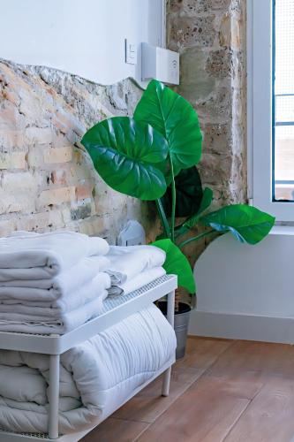 a pile of towels sitting on a table in a room with a plant at Loft independiente con Piscina compartida en Centro de Valencia in Valencia