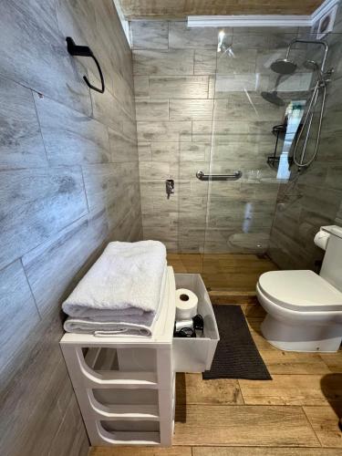 a bathroom with a toilet and a shower at Lofts - Casa El Pangue, Zapallar in Zapallar