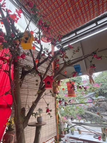 a room with a tree with decorations on it at Rosie Homestay in Ha Giang
