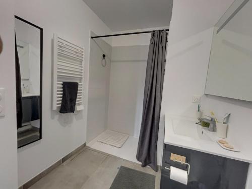 une salle de bain avec une douche, un lavabo et un miroir dans l'établissement La Perle des Alizés, à Mimizan-Plage