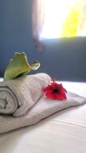 a towel with a red flower on top of it at Maison de vacances Palmier in Sainte-Anne