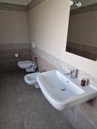a bathroom with a sink and a toilet at Verdi 32 in Cazzago San Martino
