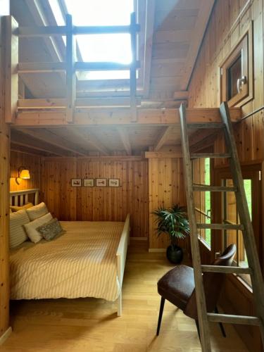 a bedroom with a bunk bed and a ladder at Le Fôret - Cergnat in Le Sépey