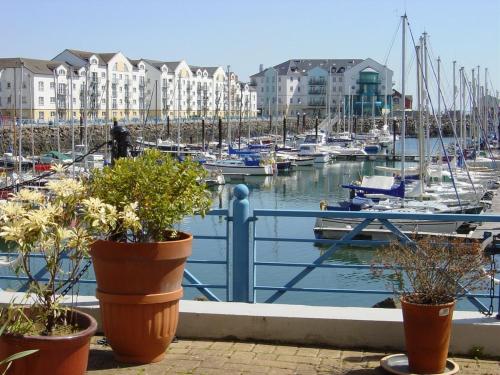 tre piante in vaso sedute su una ringhiera vicino a un porto turistico di Beckers Place at No2 NLC in Carrickfergus a Carrickfergus