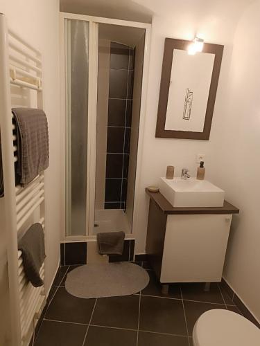 a bathroom with a white sink and a mirror at L'appartement au fauteuil relax in Viviers