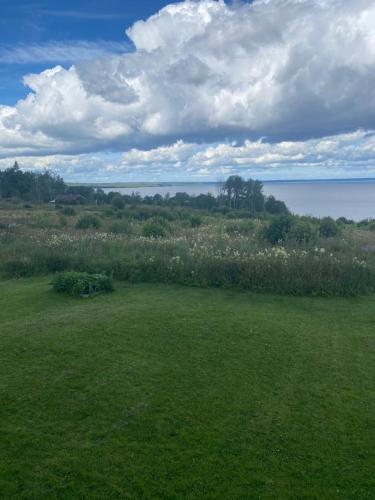 a field of grass with the ocean in the background at Kungsbacken i Tived in Tived