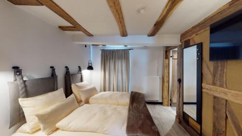 Μια τηλεόραση ή/και κέντρο ψυχαγωγίας στο Hotel Alte Schule