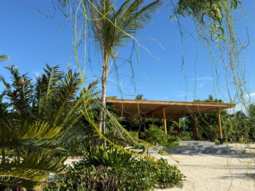 Zahrada ubytování Palmera Zanzibar Eco Boutique Hotel