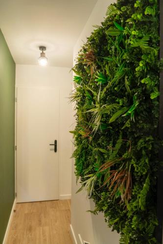 a green wall in a hallway with a door at Jungle Room - Centre ville in Marmande