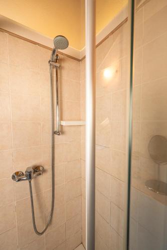 a shower with a glass door in a bathroom at Bernina Express Eco Rooms&Breakfast in Tirano