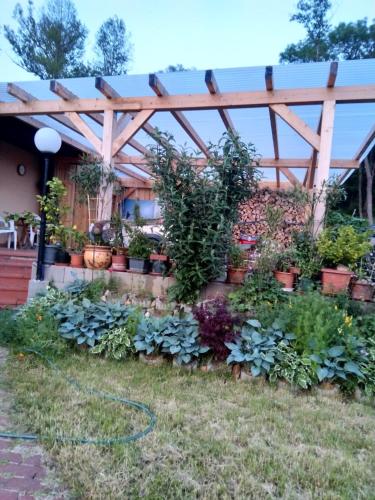 RehgrabenHaus Orleander的种有盆栽植物和木凉棚的花园