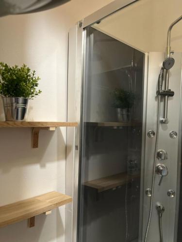 une douche avec une porte vitrée dans une salle de bain dans l'établissement Le petit Gambon - 4 personnes - Place de parking privé, à Bourges