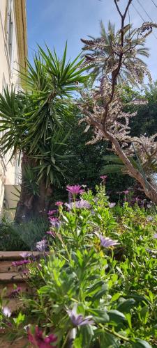 un jardin avec des fleurs et des plantes devant un bâtiment dans l'établissement Villa Magenta, à Cannes