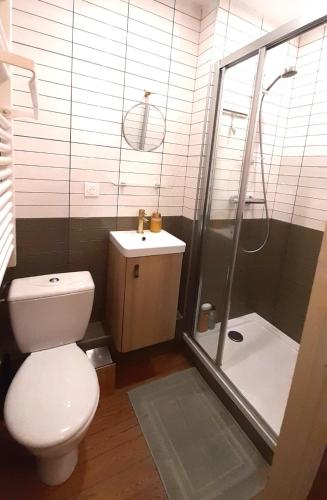 une salle de bain avec toilettes, douche et lavabo dans l'établissement Beau T2 cosy ! Centre 200m Plage 400m, à Dinard