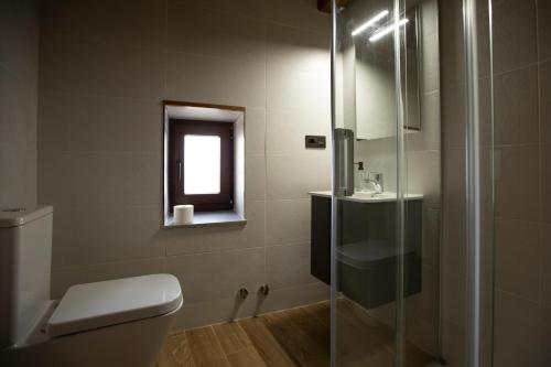 a bathroom with a toilet and a glass shower at Refuxio de Lamas in Becerreá