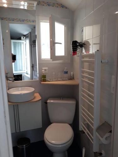 une salle de bain avec toilettes et lavabo dans l'établissement La chambre d'hôtes d'Isa Moindron, aux Herbiers