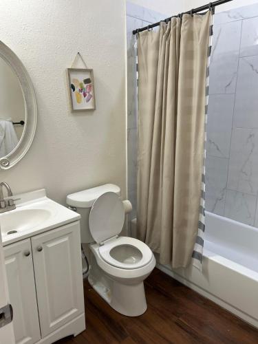 a bathroom with a toilet and a sink and a shower at Cheerful Lakeside Retreat-Just Minutes to the lake in Canyon Lake