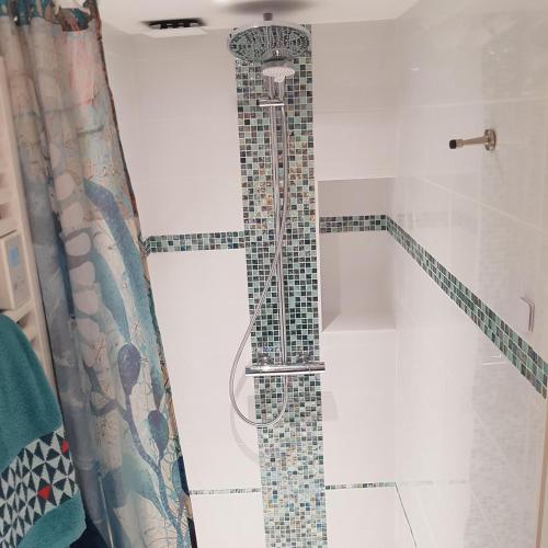 La salle de bains est pourvue d'une douche et d'un rideau de douche en mosaïque. dans l'établissement L'ampli sur jardin, à Noirmoutier-en-l'lle