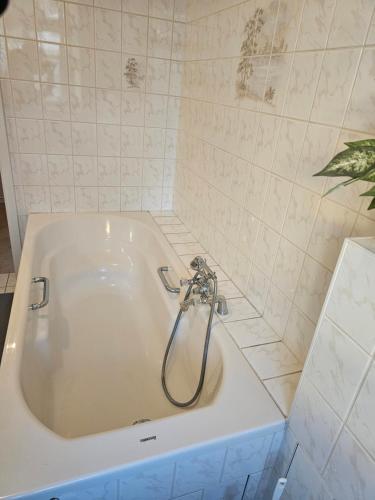 a bath tub with a shower in a bathroom at Unterkunft für Familien, Montagen arbeiter, und und und, Sweet Home in Roßwein