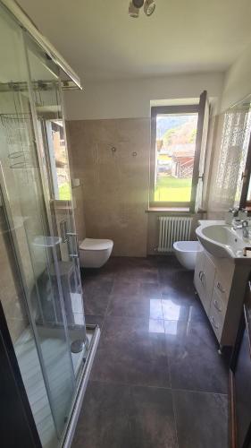 a bathroom with a shower and a sink and a toilet at Bioledro - Casa Lena in Mezzolago