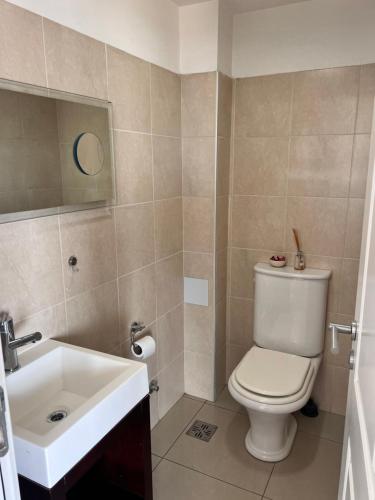 a bathroom with a toilet and a sink at Gray Fox Apartments - Antártida in Ushuaia