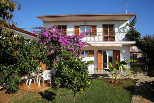 Apartments Leo
