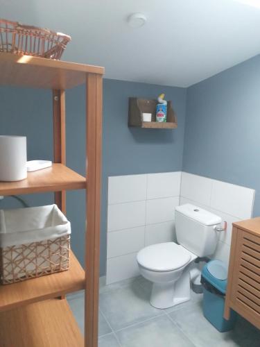 La salle de bains est pourvue de toilettes blanches et d'un mur bleu. dans l'établissement Gîte à la campagne climatisé, à Chalandray