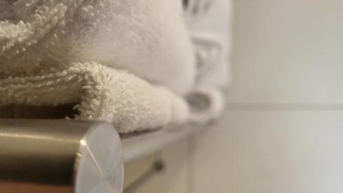 a close up of a stuffed animal on a counter at Madonna Dell'Aiuto True View Olivo in Brenzone sul Garda