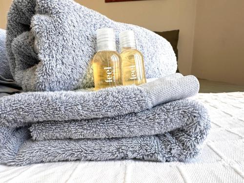 deux bouteilles de miel assises sur une couverture dans l'établissement Pleasant central apartment with balcony, à Nice